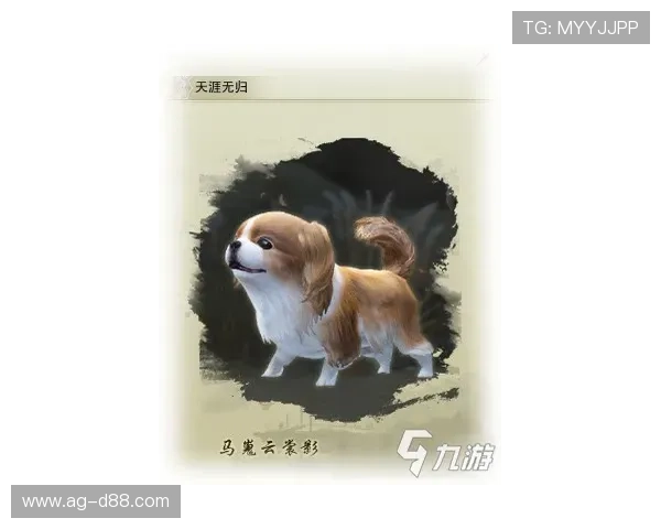 尊龙app官方网站最新版本更新内容指南，详细说明每项改动带来的实际使用效果